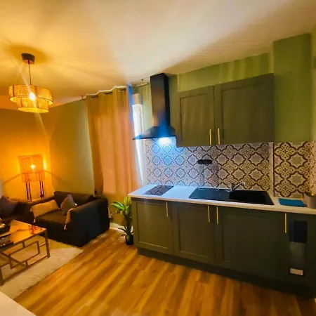 201 - 5 Min Circuit 24h Du Mans Appartement *